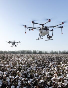 Drones vigilando un campo de algodon