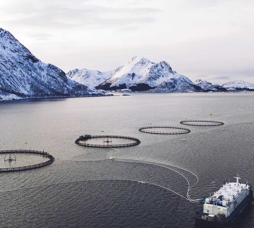 Caso de éxito Aquanaria