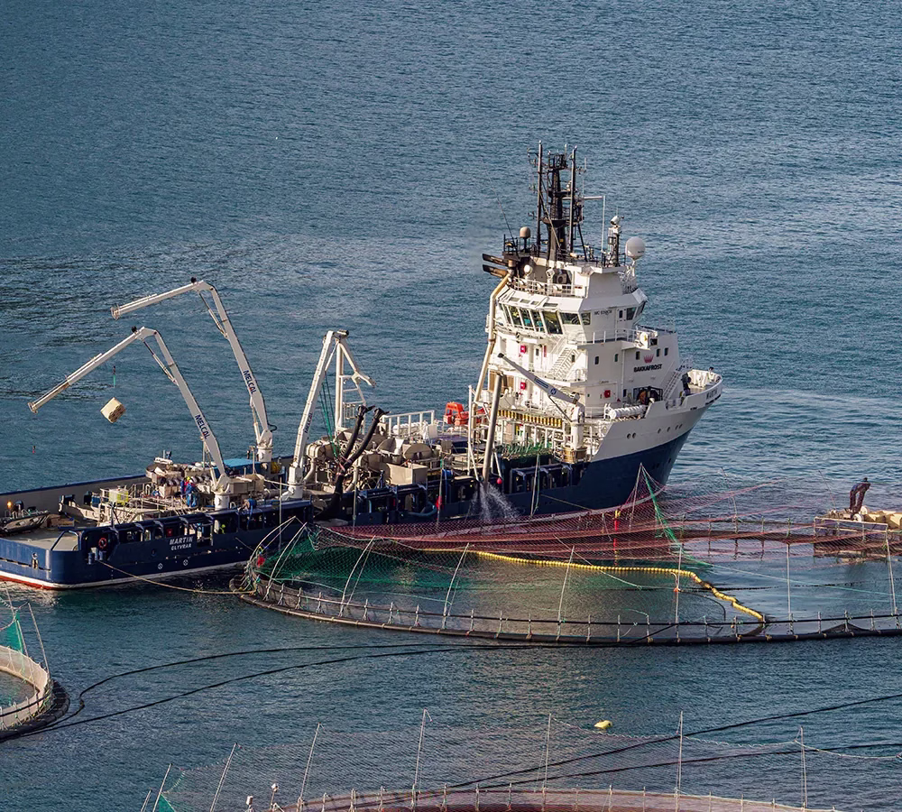 Caso de éxito Aquanaria Caso de éxito Aquanaria