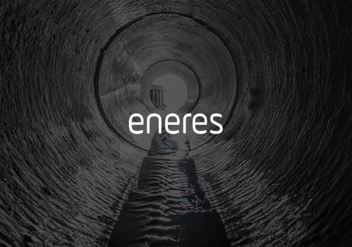 Caso de éxito Eneres